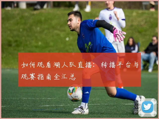 如何观看湖人队直播：转播平台与观赛指南全汇总