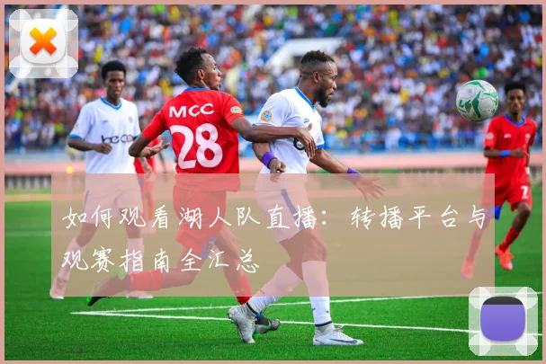 如何观看湖人队直播:转播平台与观赛指南全汇总